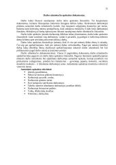 Apskaitos principai 15 puslapis