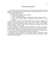 Apskaitos principai 17 puslapis