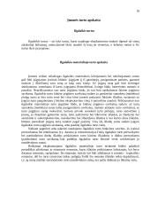 Apskaitos principai 18 puslapis