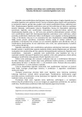 Apskaitos principai 19 puslapis