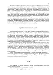 Apskaitos principai 20 puslapis