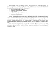 Apskaitos principai 8 puslapis