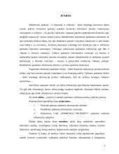 Apskaitos vaidmuo įmonės valdyme 2 puslapis