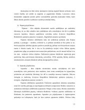 Apskaitos vaidmuo įmonės valdyme 11 puslapis