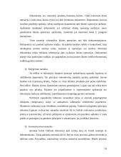 Apskaitos vaidmuo įmonės valdyme 13 puslapis