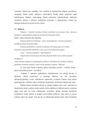 Apskaitos vaidmuo įmonės valdyme 15 puslapis