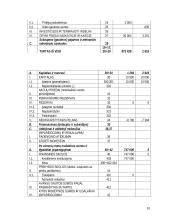 Apskaitos vaidmuo įmonės valdyme 17 puslapis