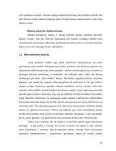 Apskaitos vaidmuo įmonės valdyme 19 puslapis