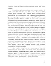 Apskaitos vaidmuo įmonės valdyme 20 puslapis