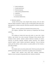 Apskaitos vaidmuo įmonės valdyme 8 puslapis