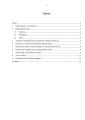 Žemės dirbimo mašinos - plūgas 2 puslapis