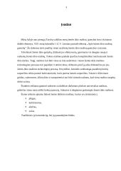 Žemės dirbimo mašinos - plūgas 3 puslapis