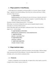 Žemės dirbimo mašinos - plūgas 4 puslapis