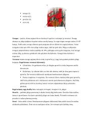 Žemės dirbimo mašinos - plūgas 5 puslapis