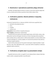 Žemės dirbimo mašinos - plūgas 8 puslapis