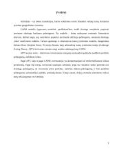 Arbitražinių kainų įvertinimo teorija 2 puslapis