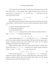 Arbitražinių kainų įvertinimo teorija 13 puslapis