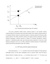 Arbitražinių kainų įvertinimo teorija 9 puslapis