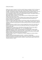 Žemės dirbimo sistemos 7 puslapis