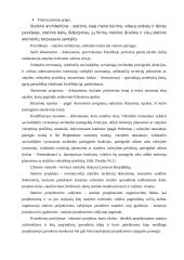 Architektų teisinis statusas teritorijų planavime, statinių projektavime ir statyboje 5 puslapis