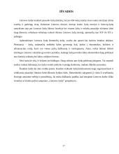 Žydų įtaka Lietuvos ekonominiam gyvenimui XV–XX amžiuje 17 puslapis