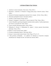 Žydų įtaka Lietuvos ekonominiam gyvenimui XV–XX amžiuje 18 puslapis