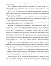 Žydų įtaka Lietuvos ekonominiam gyvenimui XV–XX amžiuje 7 puslapis