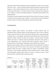 Argentinos, Brazilijos ir Čilės valstybių geopolitinės padėties lyginamoji analizė 11 puslapis