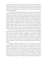 Argentinos, Brazilijos ir Čilės valstybių geopolitinės padėties lyginamoji analizė 13 puslapis