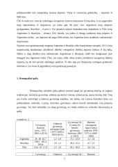 Argentinos, Brazilijos ir Čilės valstybių geopolitinės padėties lyginamoji analizė 8 puslapis