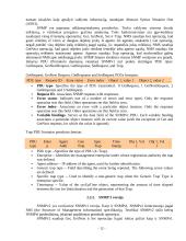 Žinybinio tinklo valdymas 11 puslapis