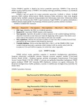 Žinybinio tinklo valdymas 12 puslapis