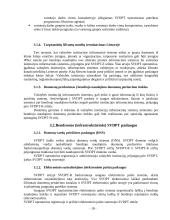 Žinybinio tinklo valdymas 17 puslapis