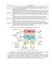 Žinybinio tinklo valdymas 4 puslapis