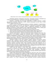 Žinybinio tinklo valdymas 5 puslapis