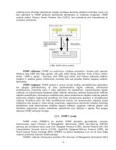Žinybinio tinklo valdymas 10 puslapis