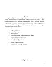 Sportiniai žirgai 2 puslapis