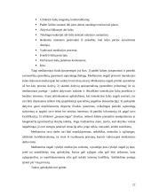 Atkuriamojo teisingumo esmė 12 puslapis