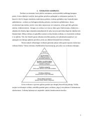 Žmogaus aplinkos ir sveikatos tarpusavio ryšys 3 puslapis