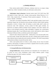 Atsargos ir atsargų apskaita 5 puslapis