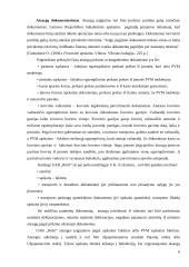 Atsargos ir atsargų apskaita 6 puslapis