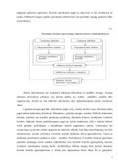 Atsargos ir atsargų apskaita 7 puslapis