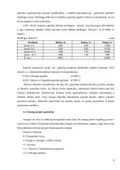 Atsargos ir atsargų apskaita 8 puslapis