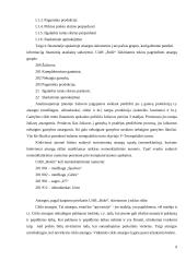 Atsargos ir atsargų apskaita 9 puslapis