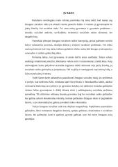 Žmogaus socialinės raidos samprata 12 puslapis