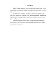 Žmogaus socialinės raidos samprata 13 puslapis