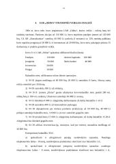 Atsargų apskaita: UAB "Odina" 13 puslapis