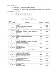 Atsargų apskaita: UAB "Odina" 14 puslapis