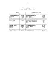 Atsargų apskaita: UAB "Odina" 17 puslapis