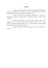 Atsargų apskaita: UAB "Odina" 18 puslapis